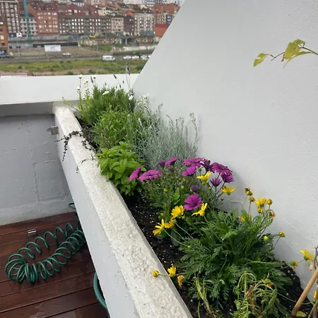 El Atico De La Playa Parking Gratis Gijón
