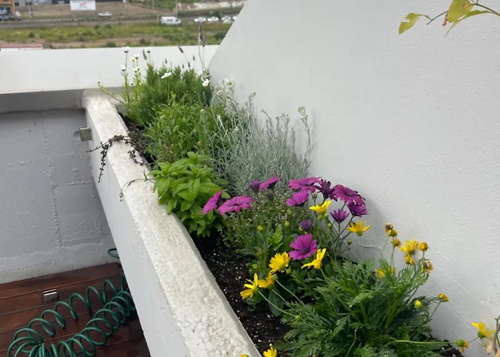 El Atico De La Playa Parking Gratis Χιχόν